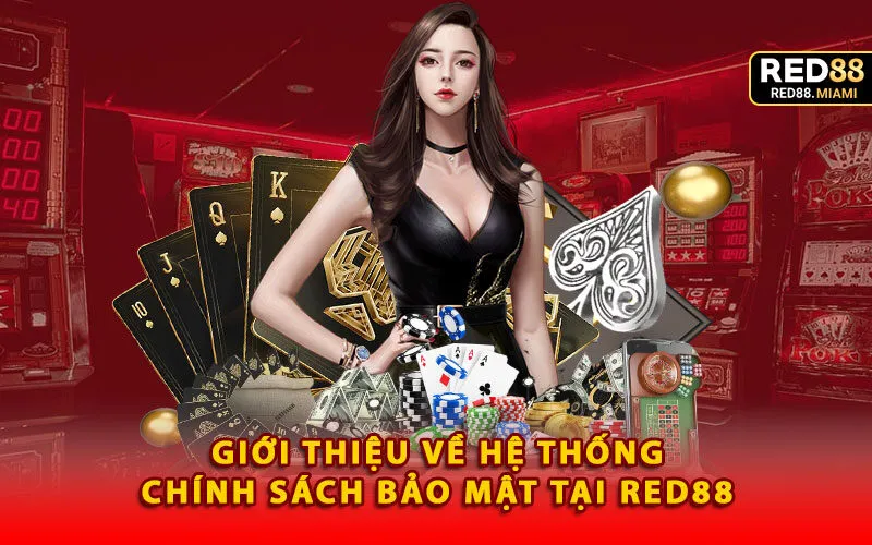 gioi-thieu-ve-he-thong-chinh-sach-bao-mat-tai-red88