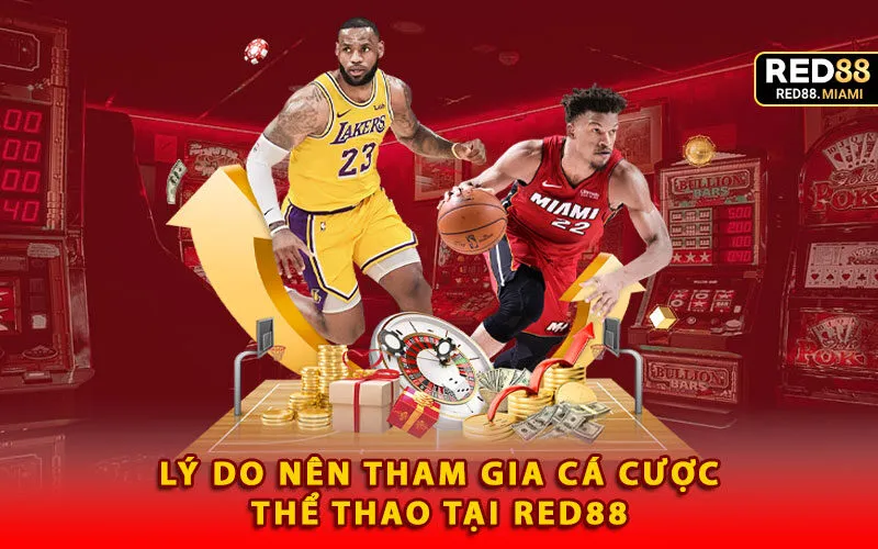 ly-do-nen-tham-gia-ca-cuoc-the-thao-tai-red88