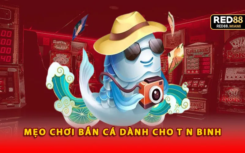 meo-choi-ban-ca-danh-cho-tan-binh