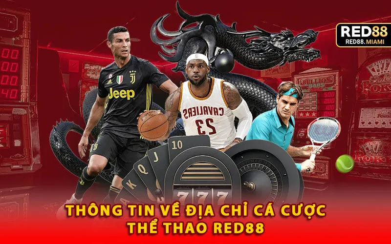 thong-tin-ve-dia-chi-ca-cuoc-the-thao-red88