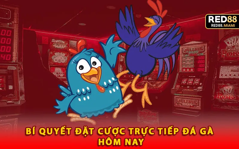 bi-quyet-dat-cuoc-truc-tiep-da-ga-hom-nay