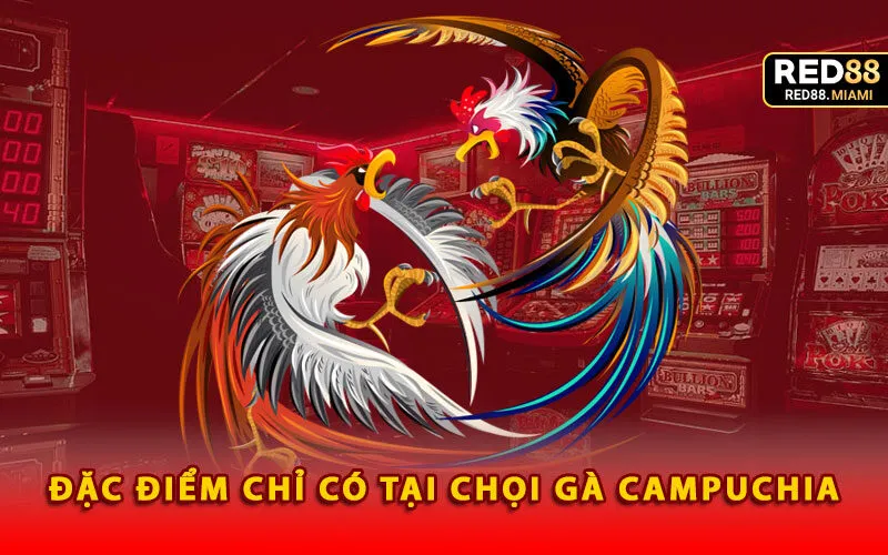 dac-diem-chi-co-tai-choi-ga-campuchia