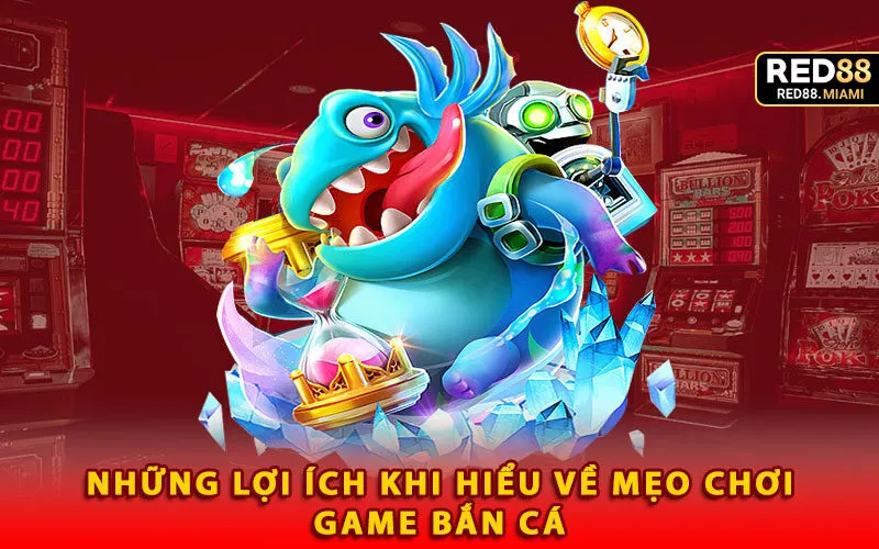 nhung-loi-ich-khi-hieu-ve-meo-choi-game-ban-ca