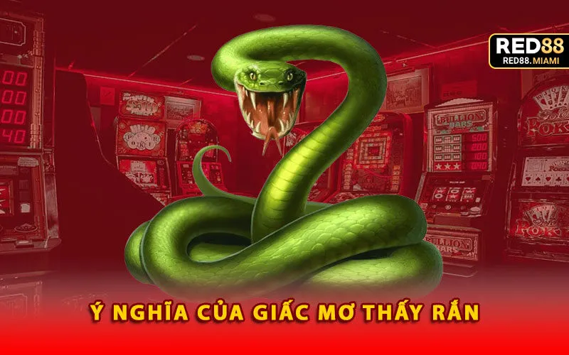 y-nghia-cua-giac-mo-thay-ran